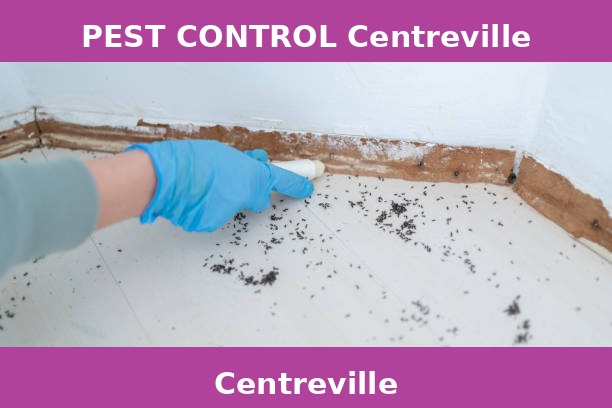 PEST CONTROL Centreville
